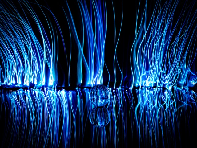 Photo by Lanju Fotografie on Unsplash